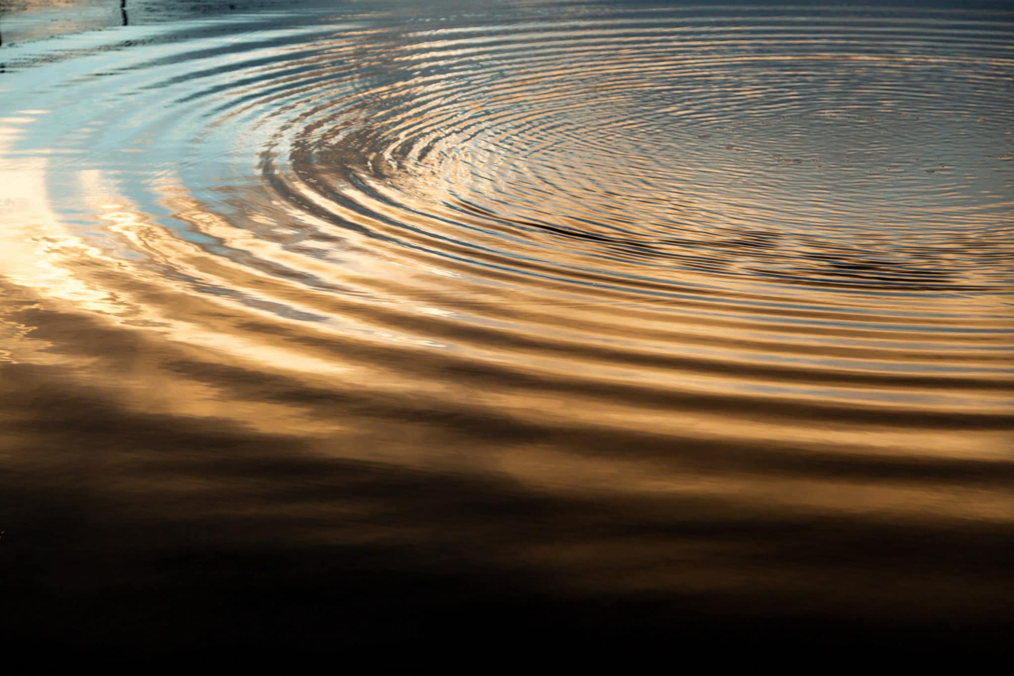 Ripples on a lake surface with a golden sunrise